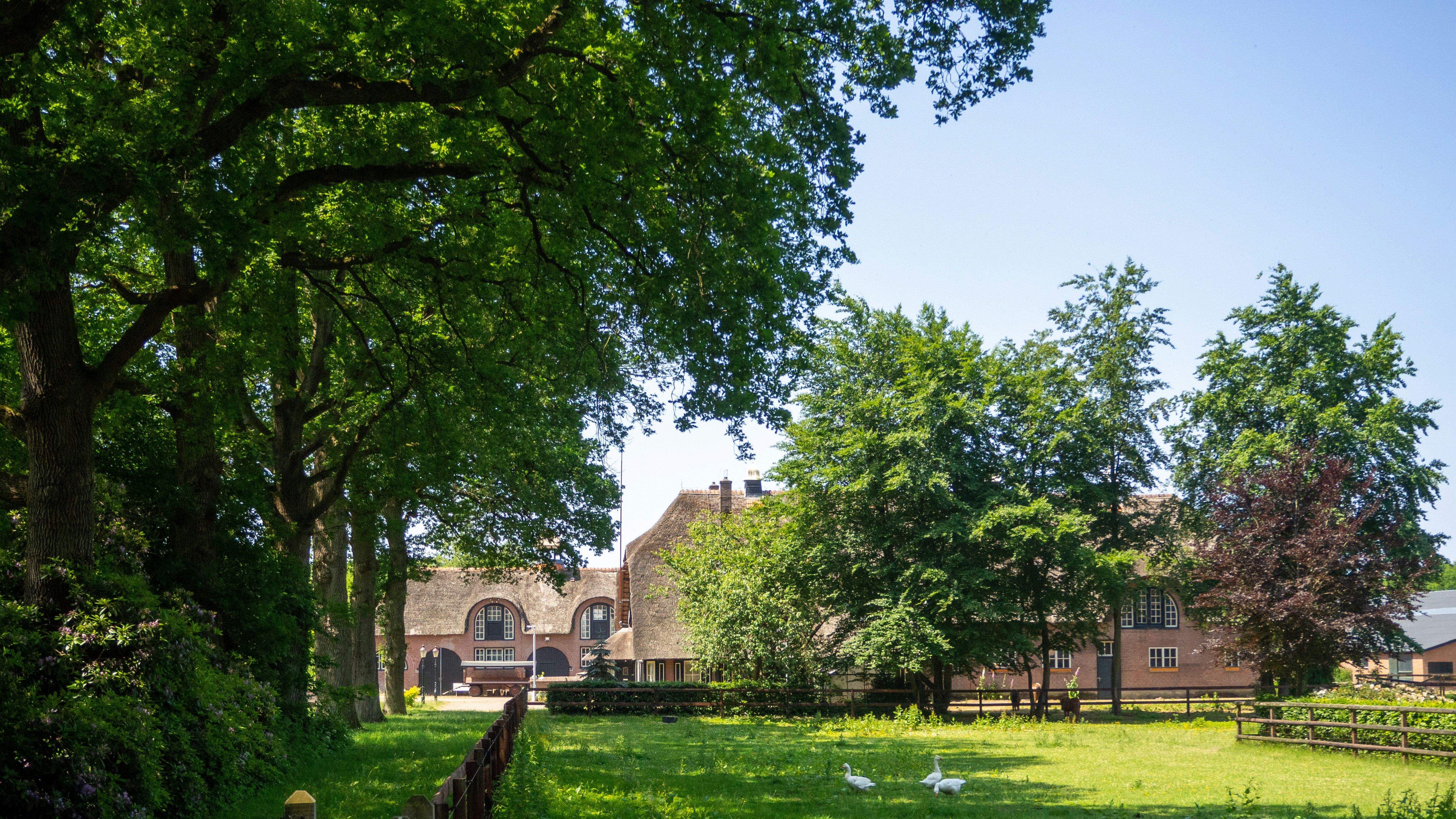 Photo by wimvanteinde