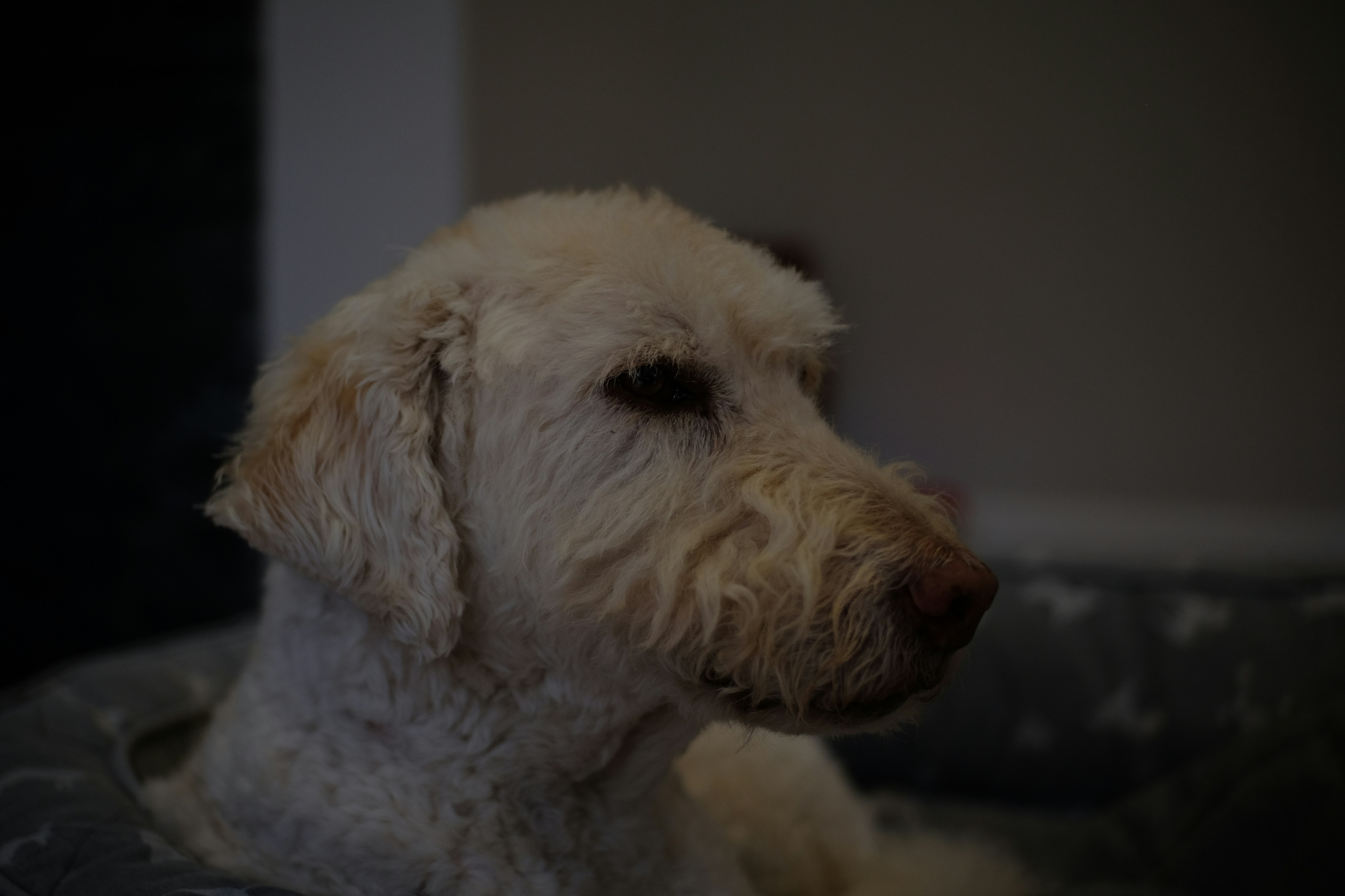 Photo by seanrobbins