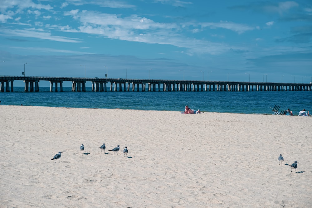 Menschen am Strand tagsüber