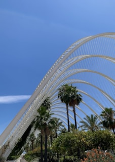 A modern architectural structure with a series of white, curved arches creates a striking contrast against a clear blue sky. In the foreground, a variety of lush green palm trees and other foliage add a tropical ambiance to the scene.