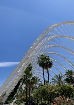 A modern architectural structure with a series of white, curved arches creates a striking contrast against a clear blue sky. In the foreground, a variety of lush green palm trees and other foliage add a tropical ambiance to the scene.