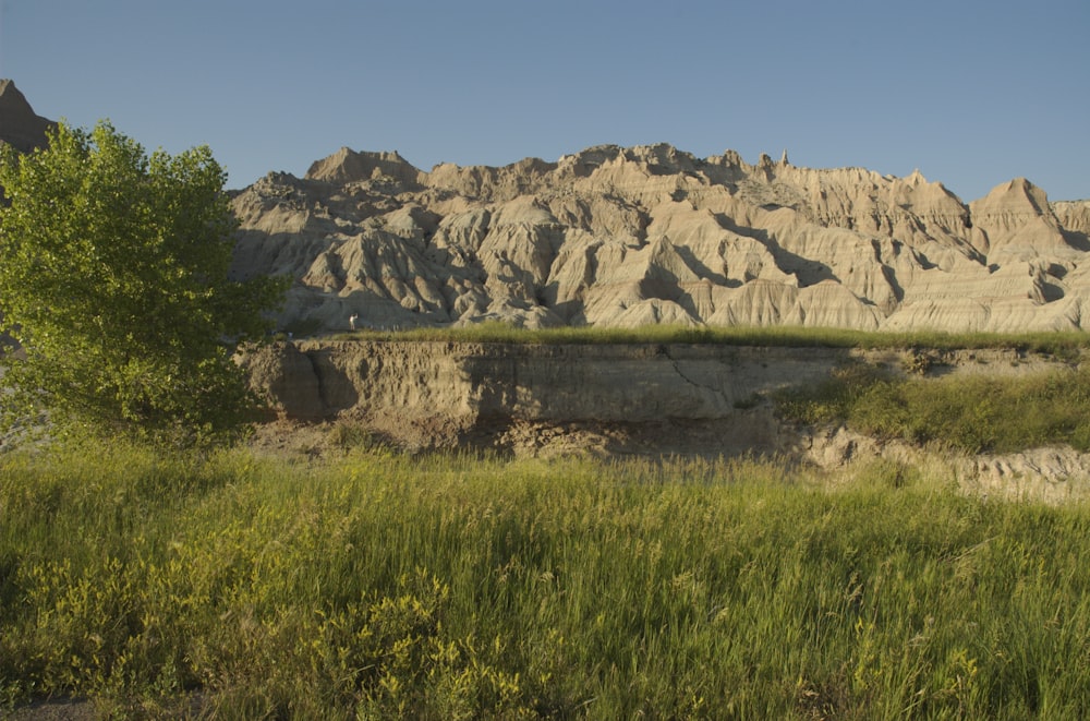 green grass field near brown rocky mountain during daytime