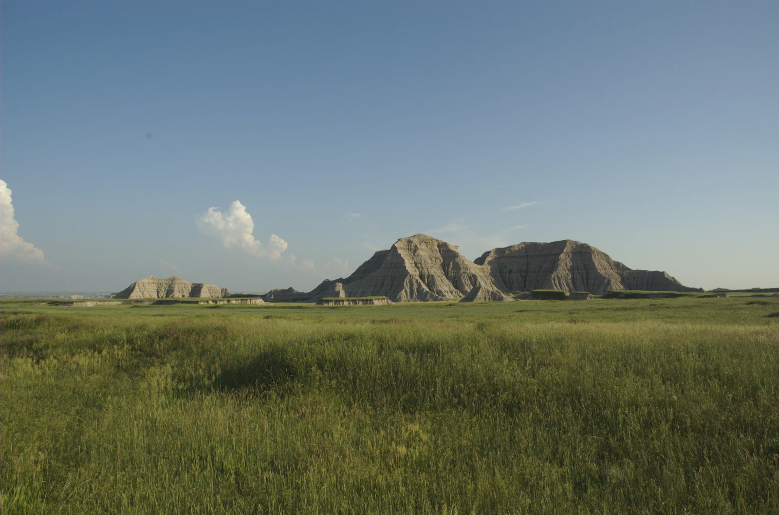 Open grass field running out toward a flat-topped butte
