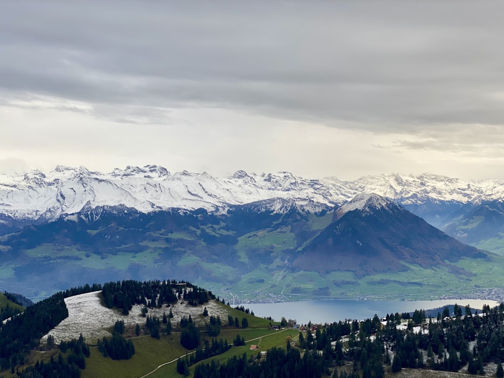 green trees near snow covered mountain during daytime