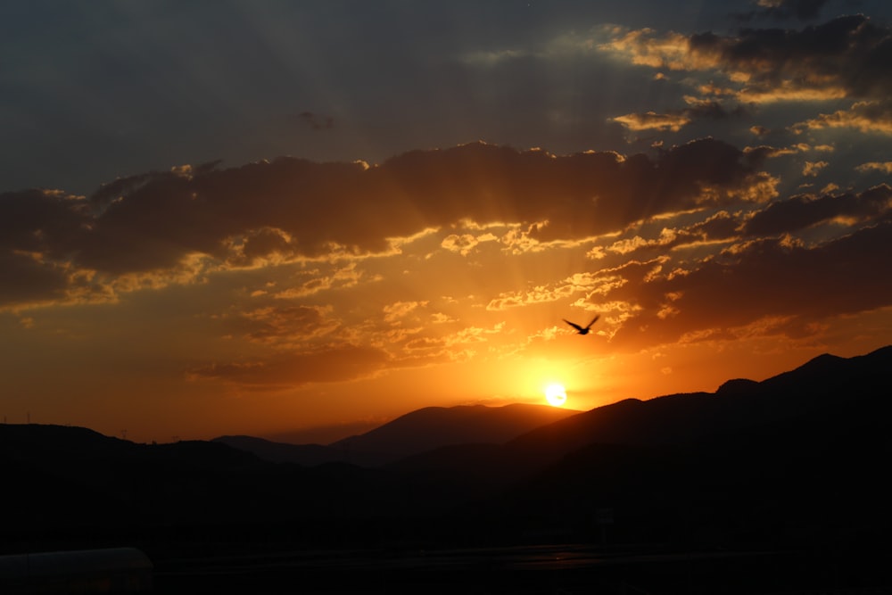 silhouette of birds flying over the mountains during sunset