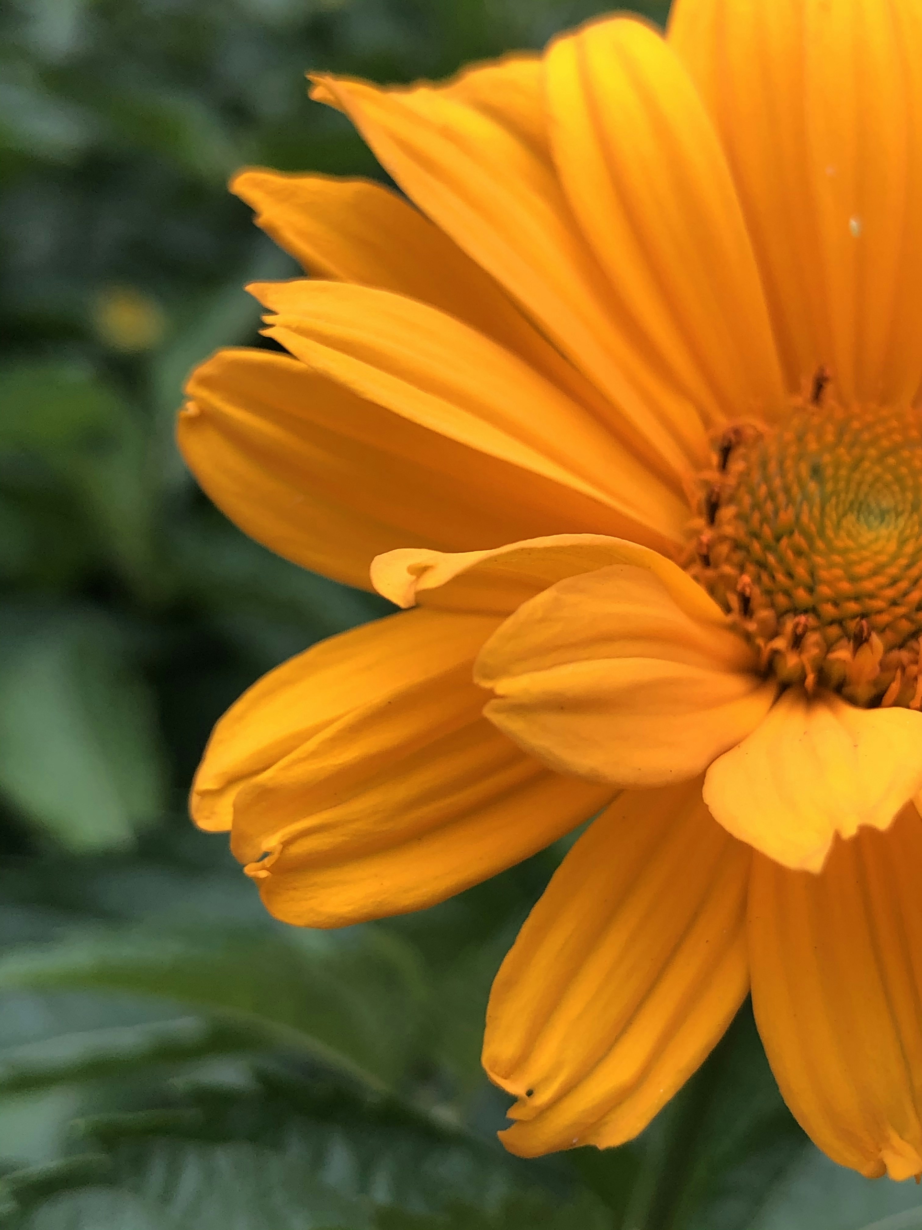 Photo by inna_lobacheva