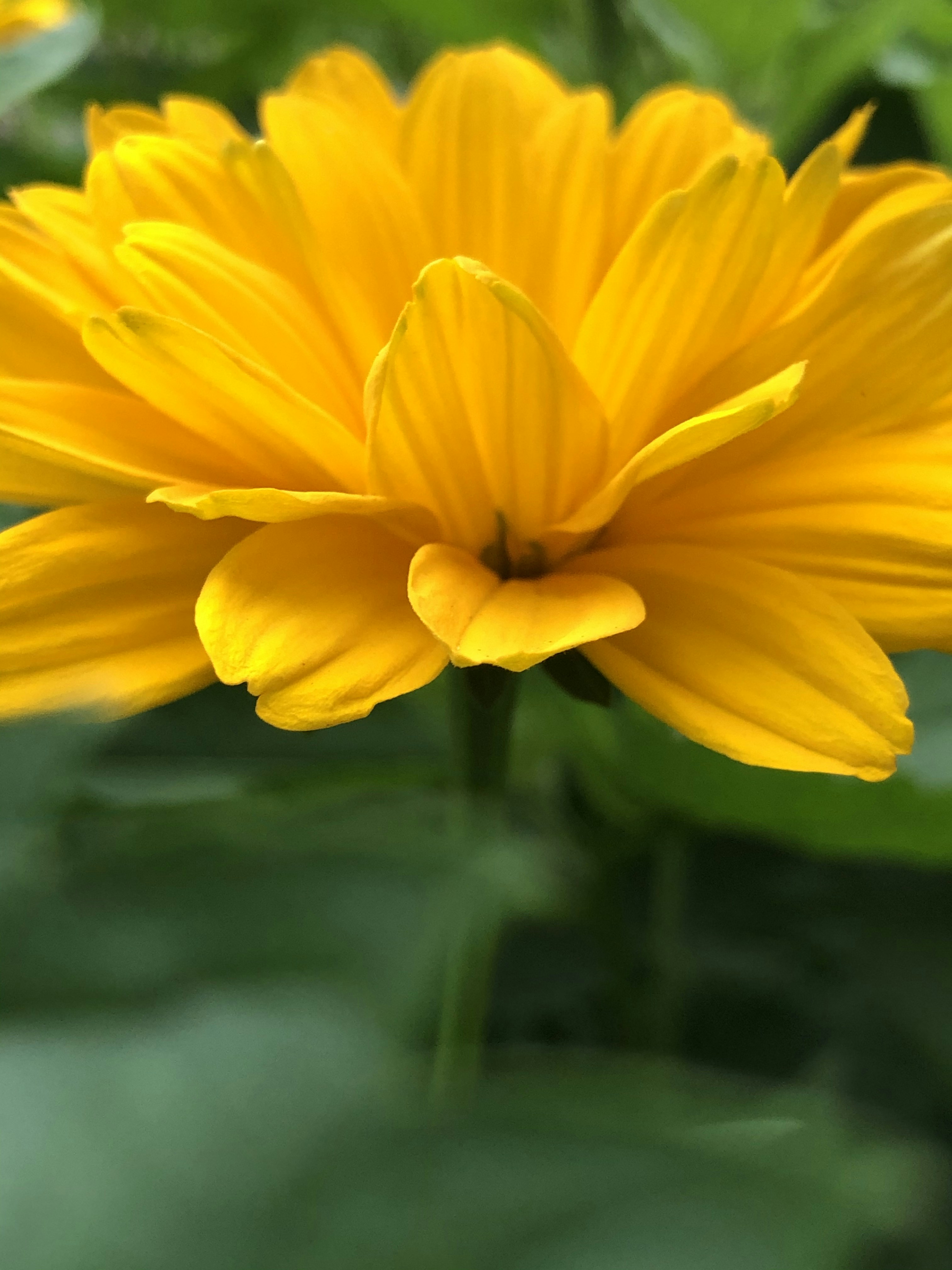 Photo by inna_lobacheva