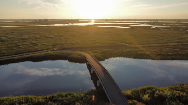 Rondvaart Biesbosch