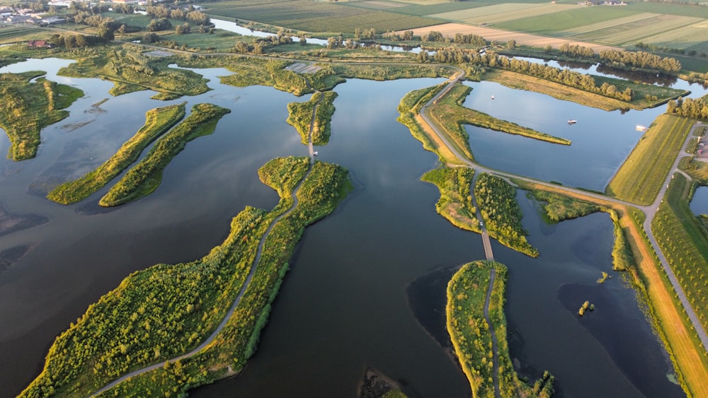 Luftaufnahme von grünen Bäumen und Fluss während des Tages