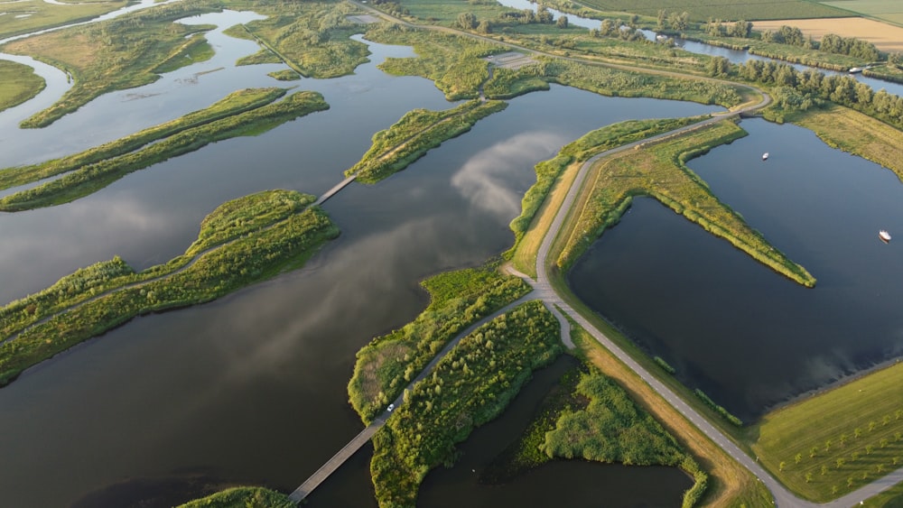 aerial view of green trees and lake