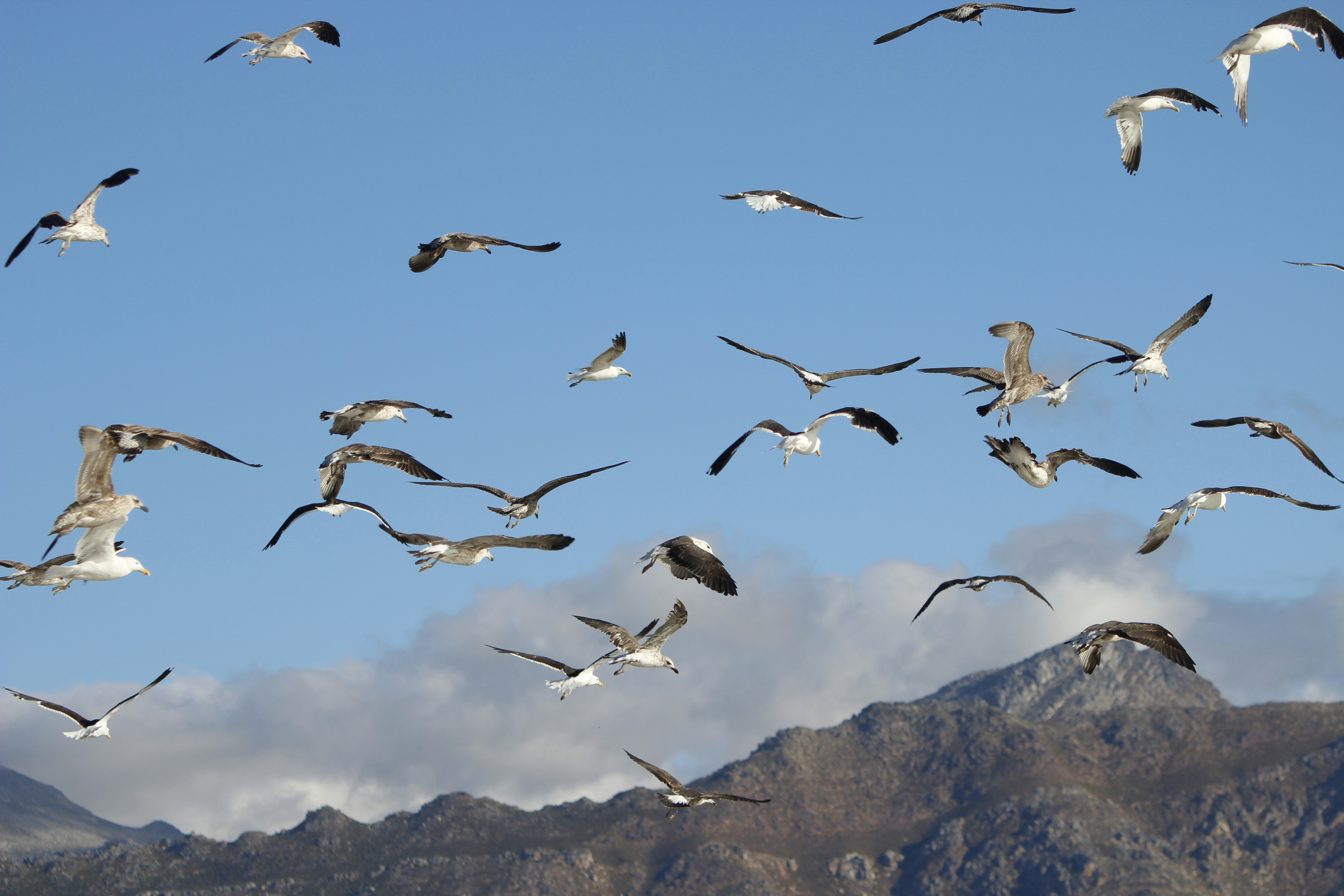 Photo by lena_bauermeister