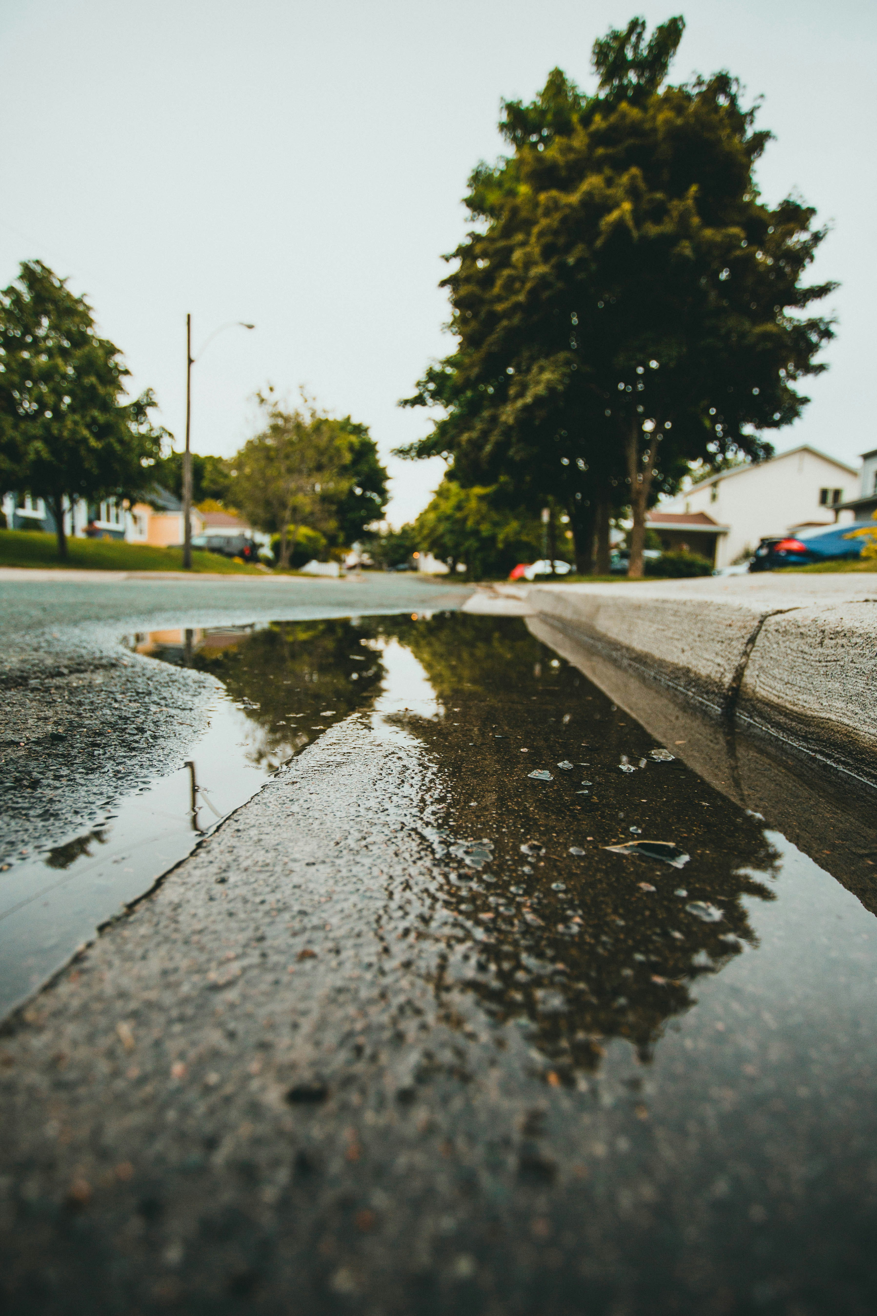 Photo by theshuttervision