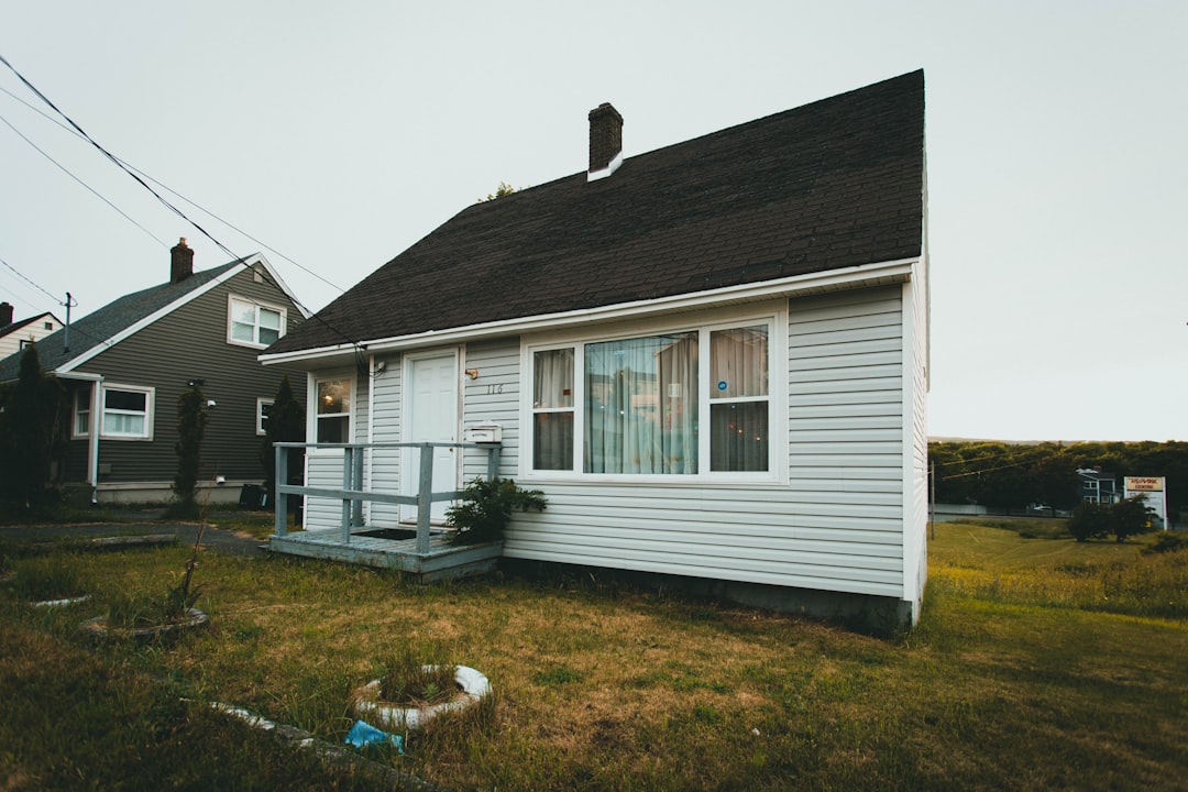 white and black wooden house