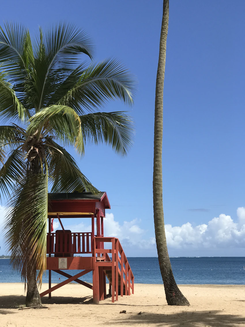 Playa y palmeras en Luquillo, Puerto Rico