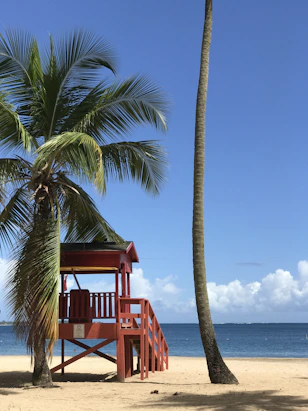 red wooden lifeguard tower near body of water during daytime