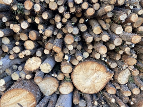 A large stack of freshly cut logs, mostly cylindrical in shape with visible growth rings on the cross-sections. The logs are closely packed together, showcasing a variety of sizes and textures. The surface of the logs exhibits a mix of light brown and beige hues, indicating the wood's natural color.