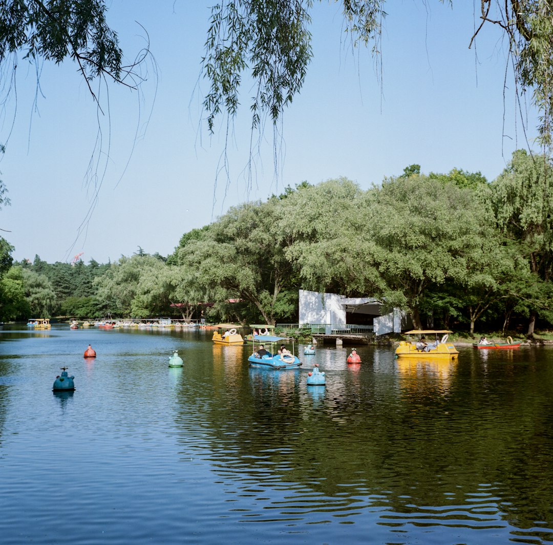 boats on water near trees during daytime