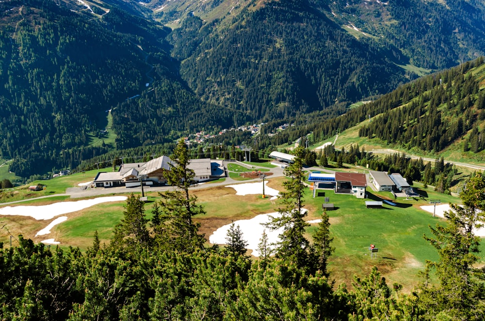 green trees and mountains during daytime