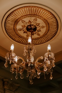 Artistic gypsum ceiling medallion highlighting a chandelier in a dining room