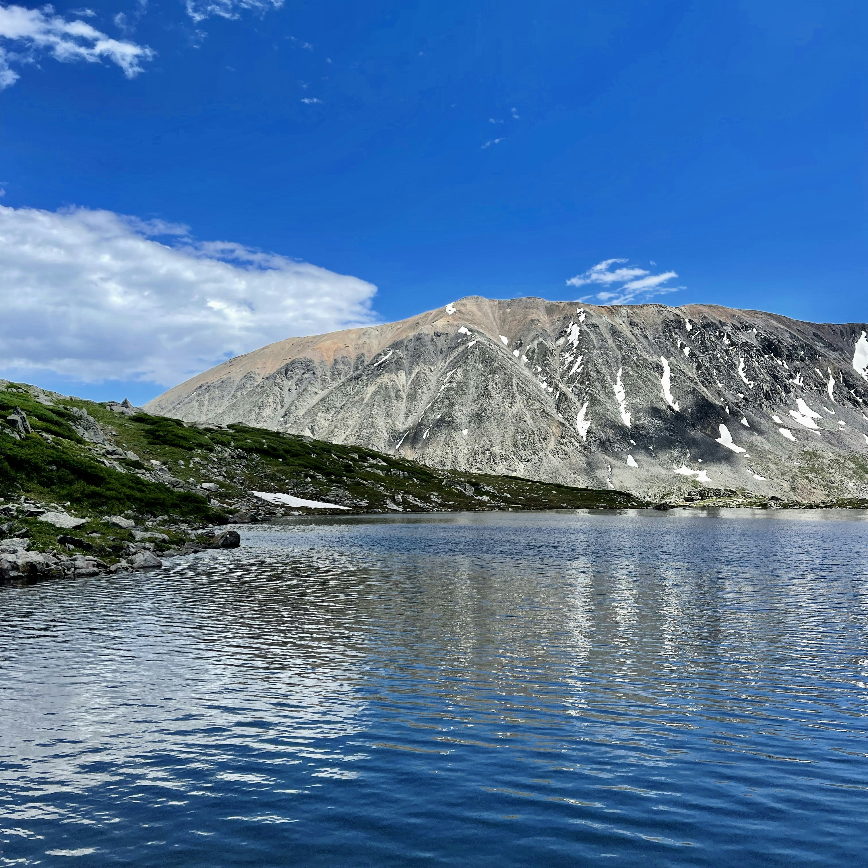 Photo by laitonbarbo