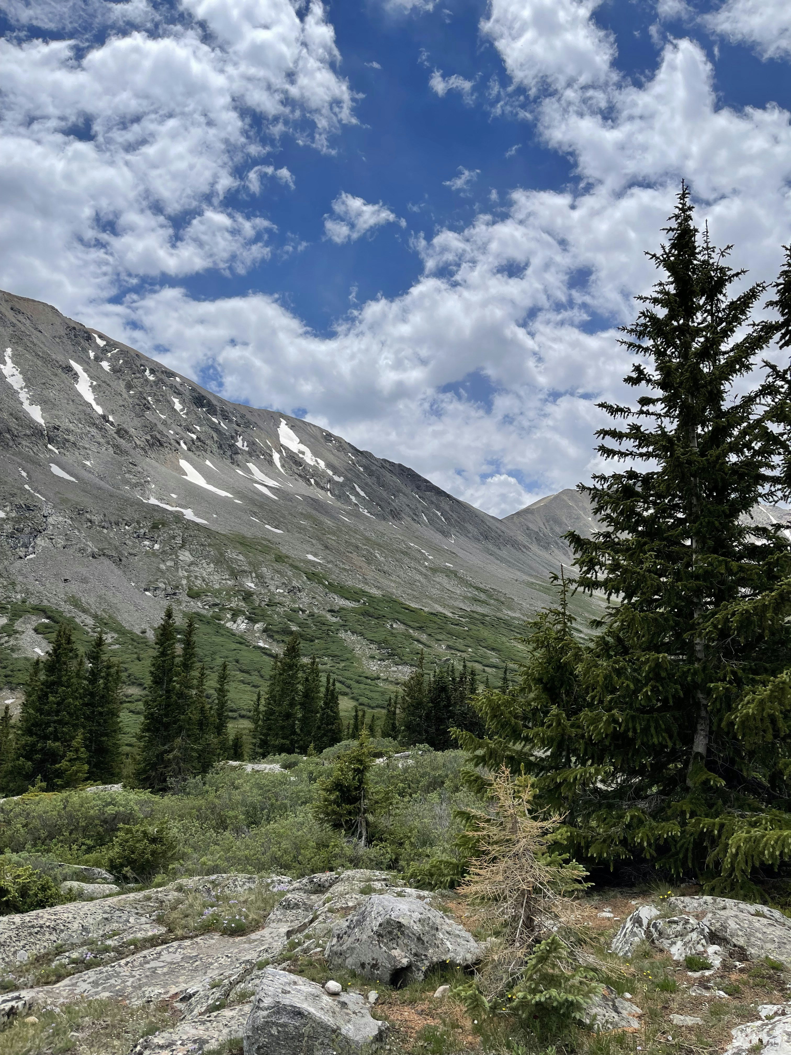 Photo by laitonbarbo