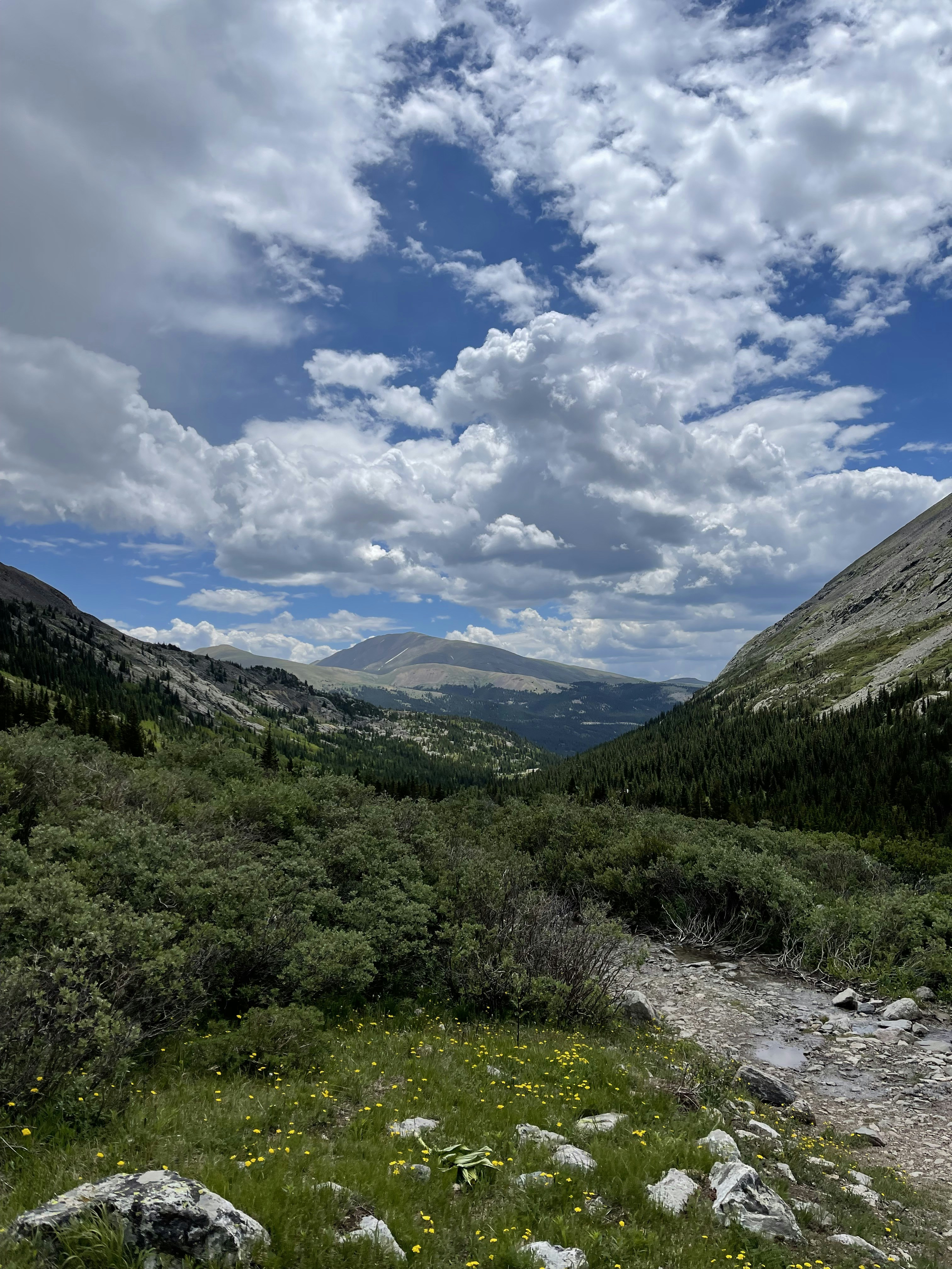 Photo by laitonbarbo