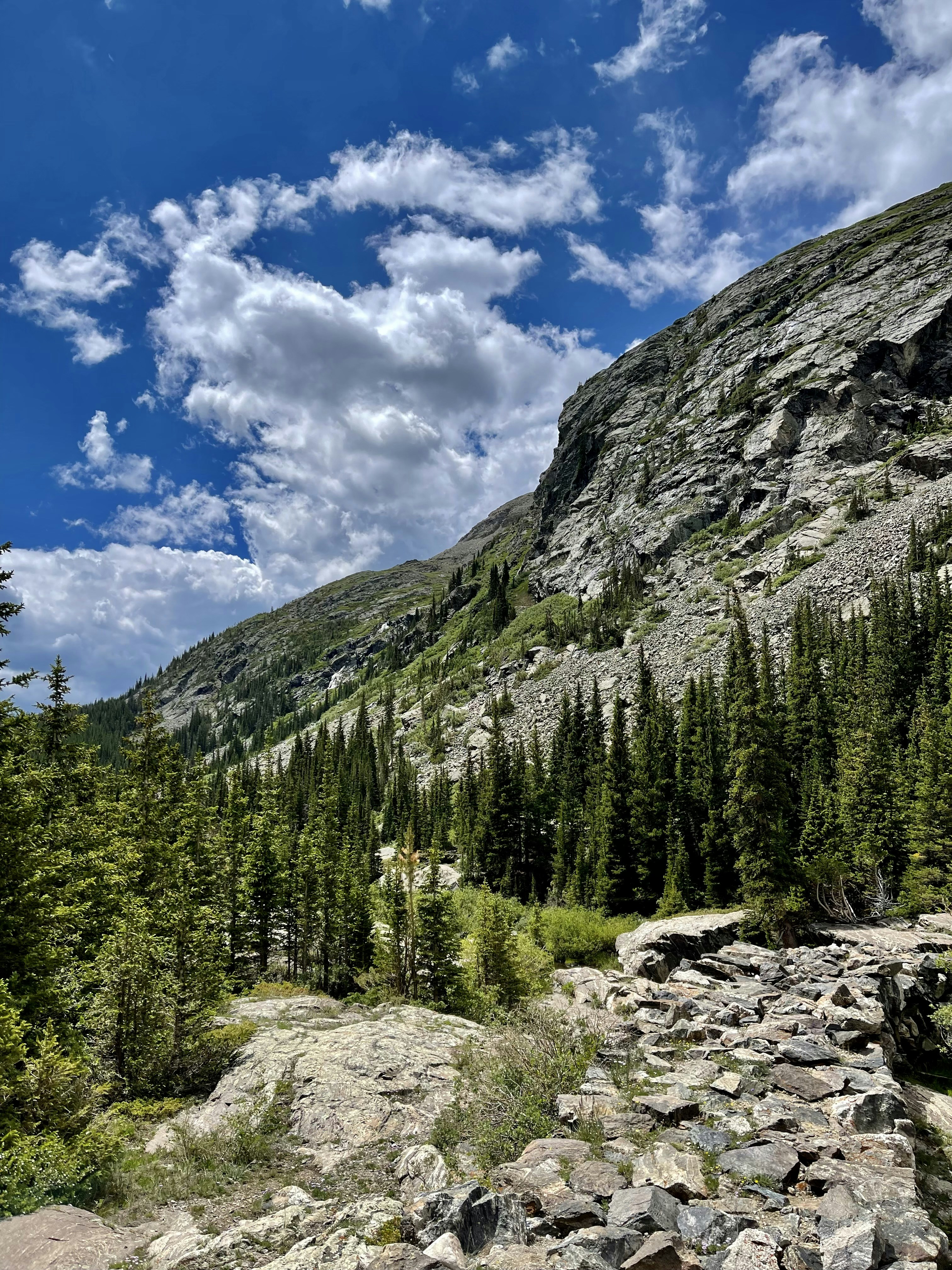 Photo by laitonbarbo