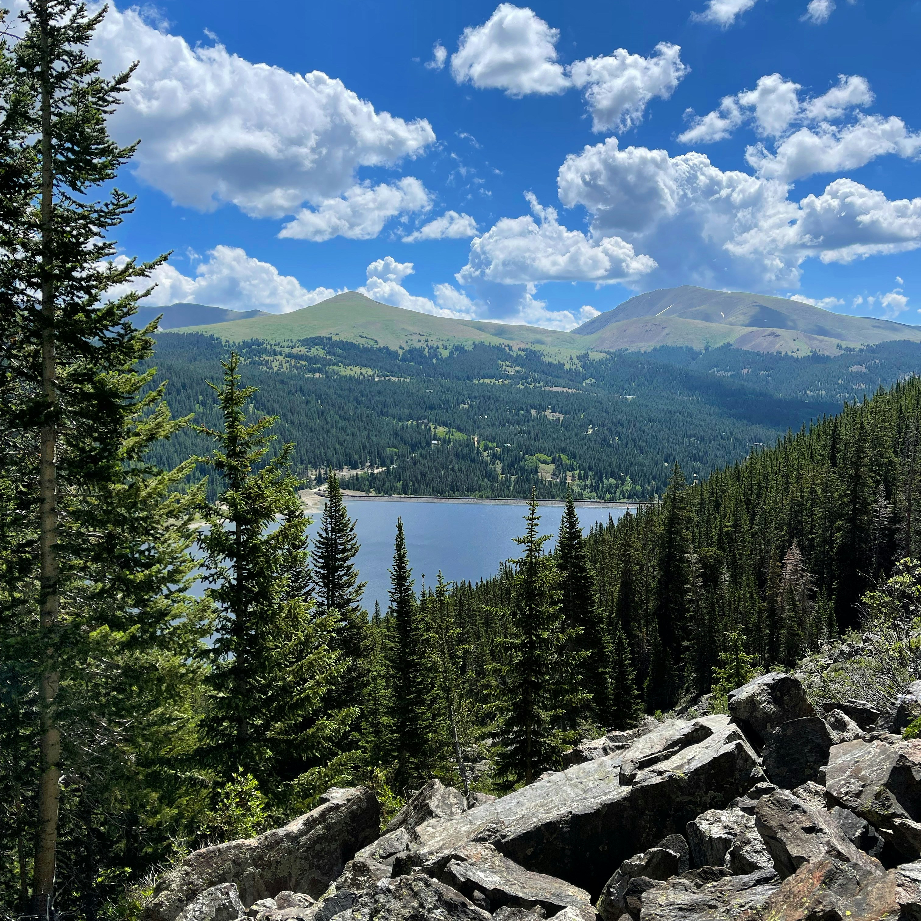 Photo by laitonbarbo