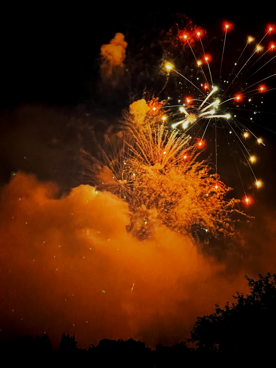 fireworks display during night time