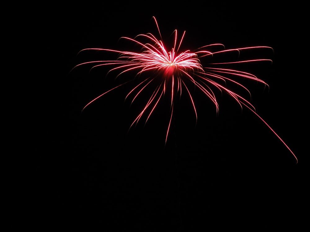 red and white fireworks in the sky