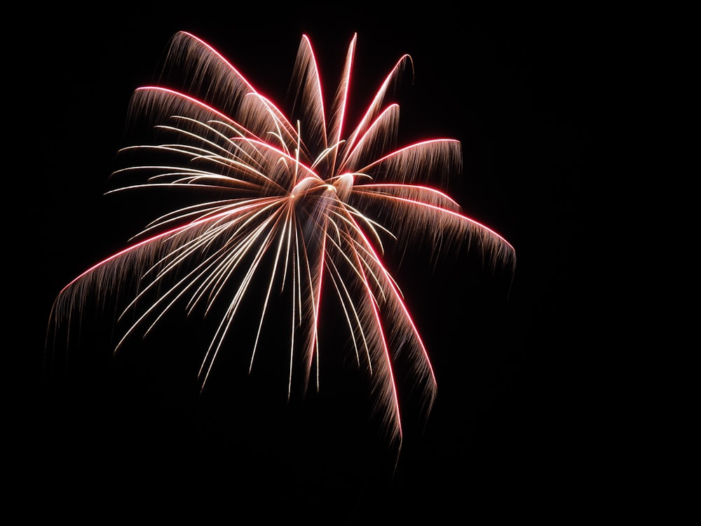 red and white fireworks display