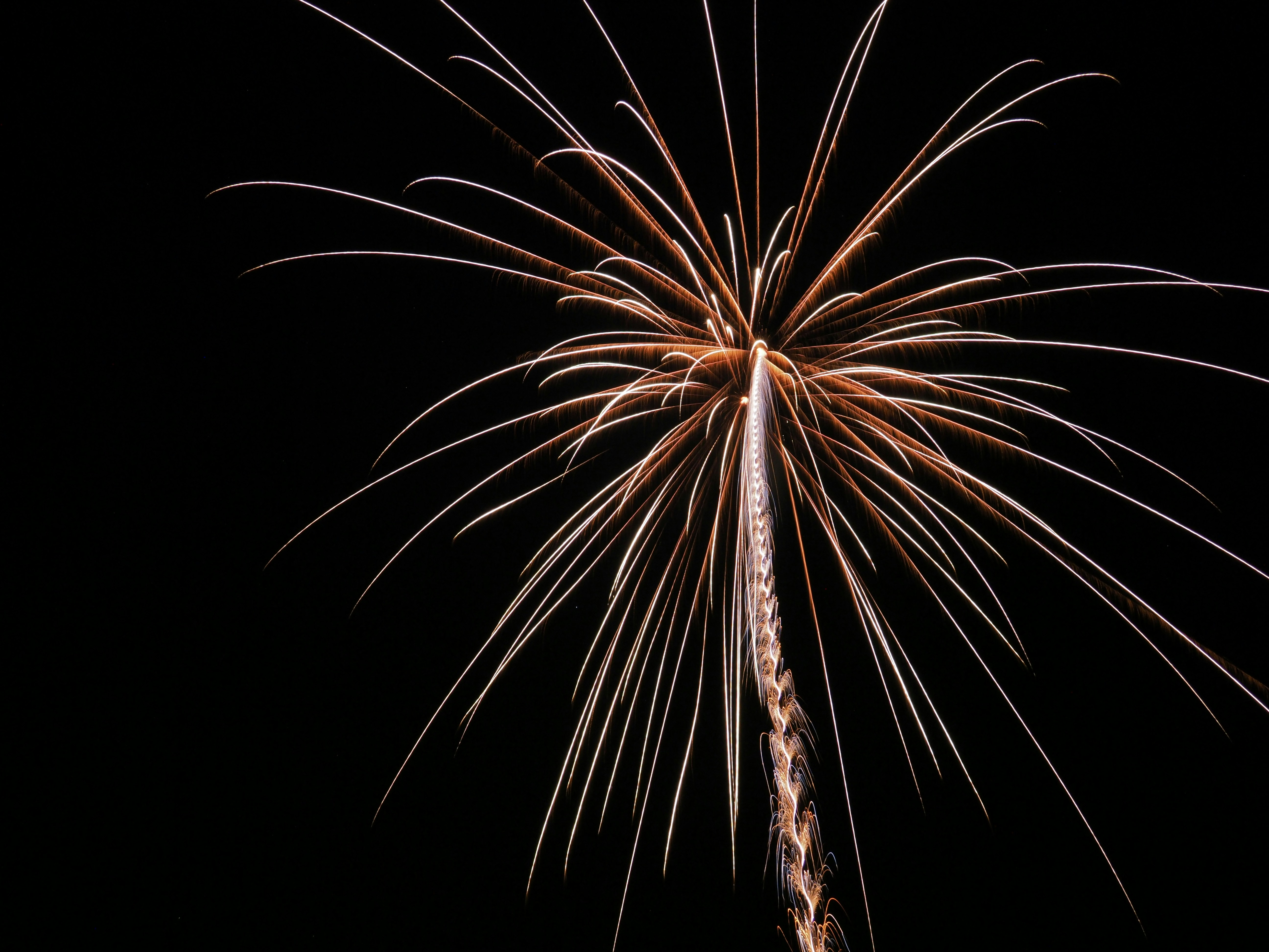 brown and white fireworks display