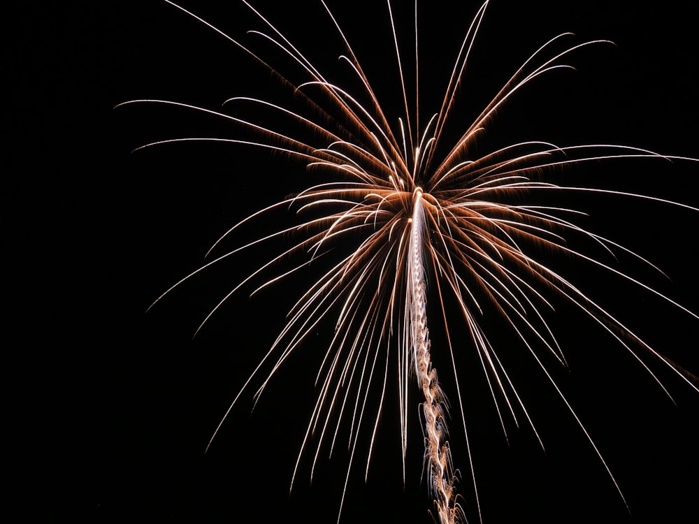 brown and white fireworks display