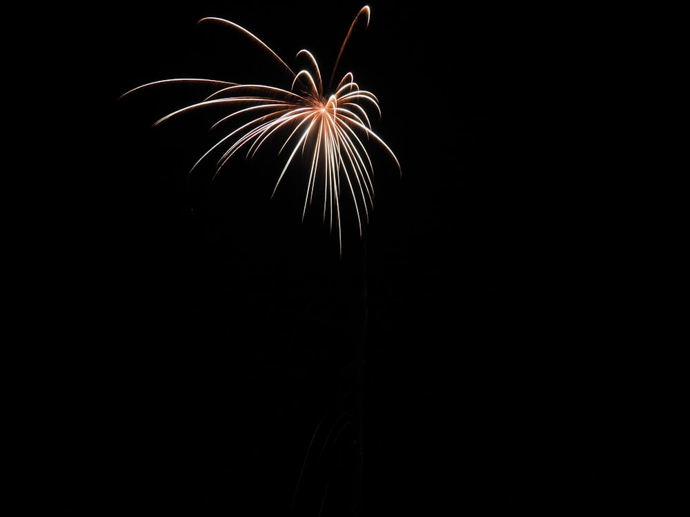 white and yellow fireworks in the sky during nighttime