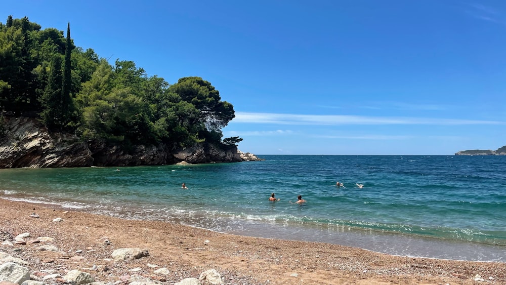 people on beach during daytime