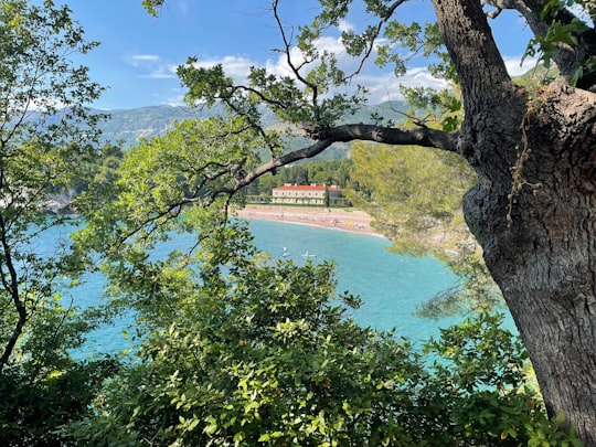 green trees beside body of water during daytime in Sveti Stefan Montenegro