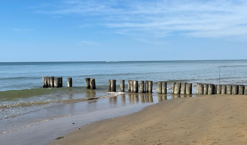 brown wooden post on beach during daytime