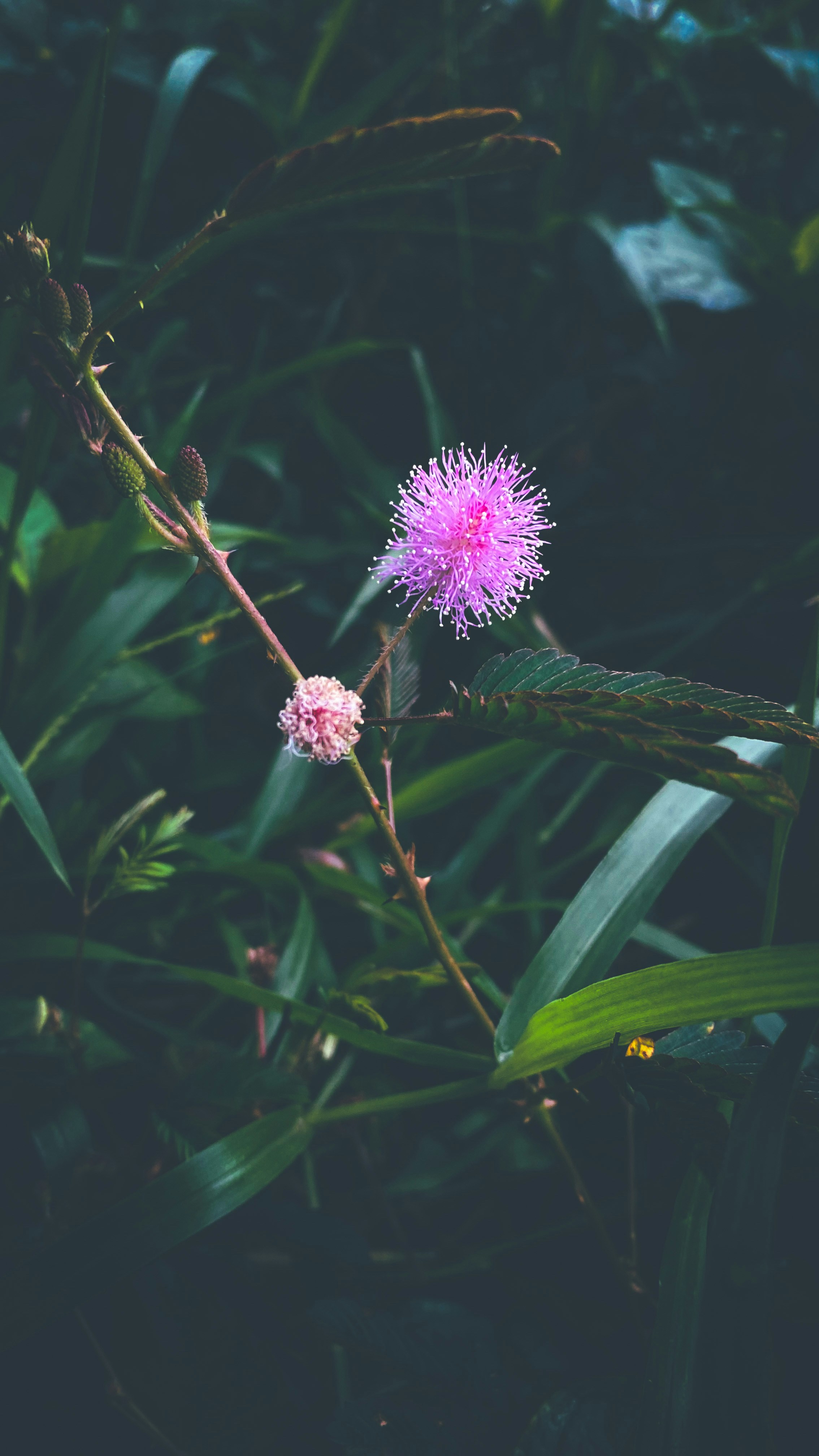 Photo by grweddingfilms
