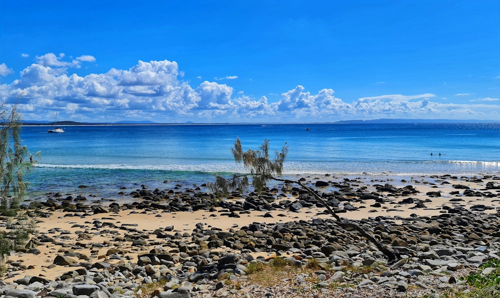 brown and black rocks on seashore under blue sky during daytime