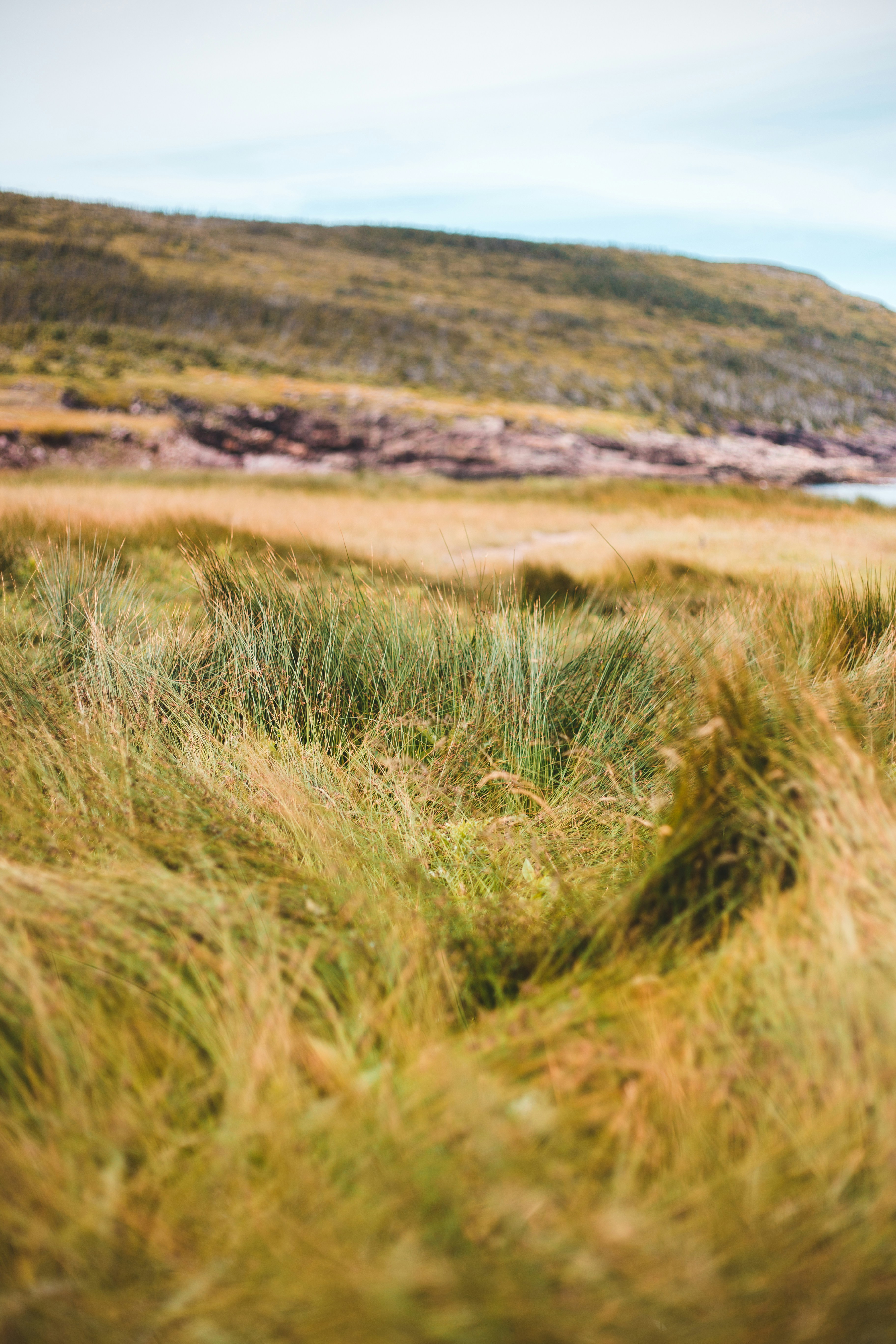 Photo by introspectivedsgn