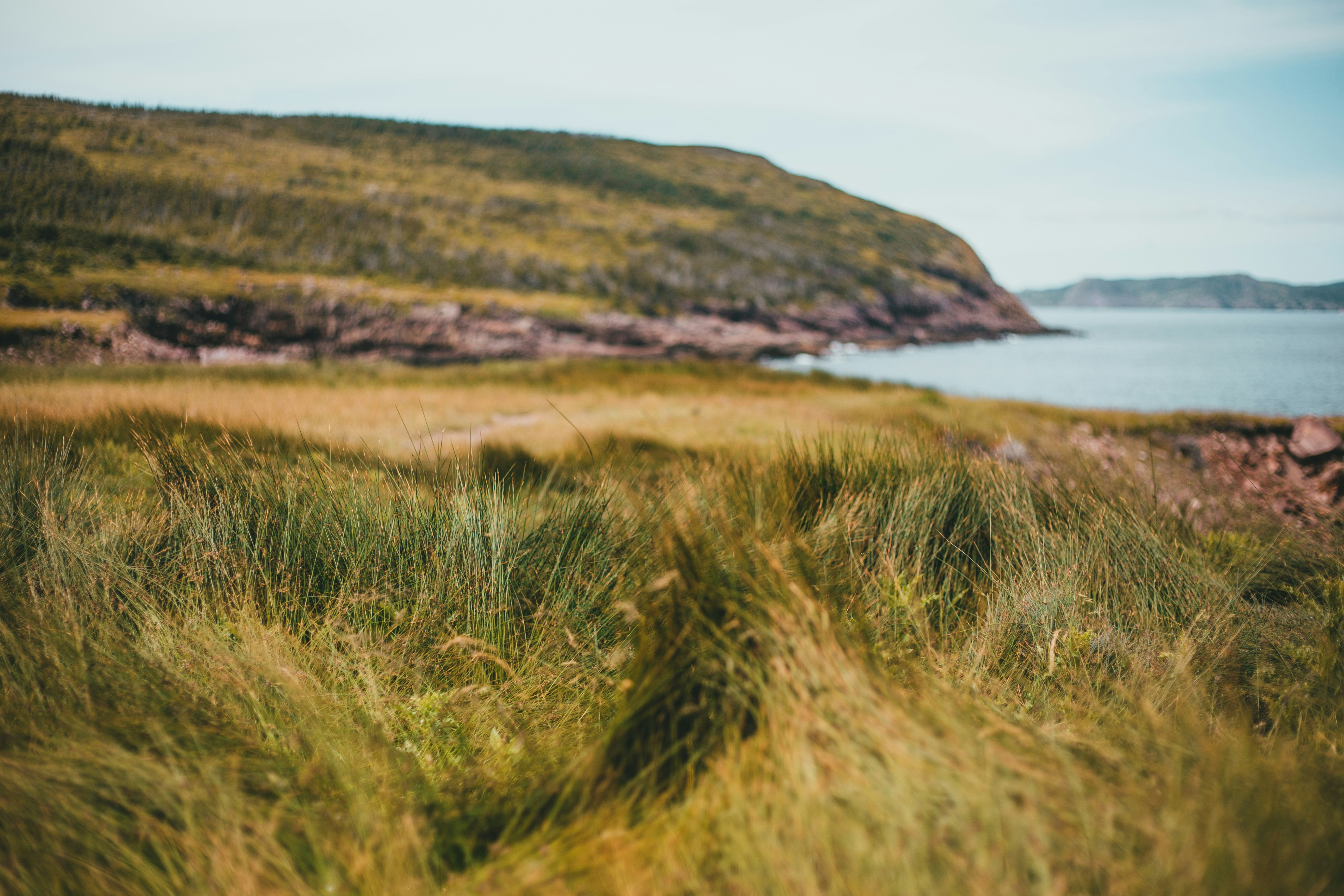 Photo by introspectivedsgn