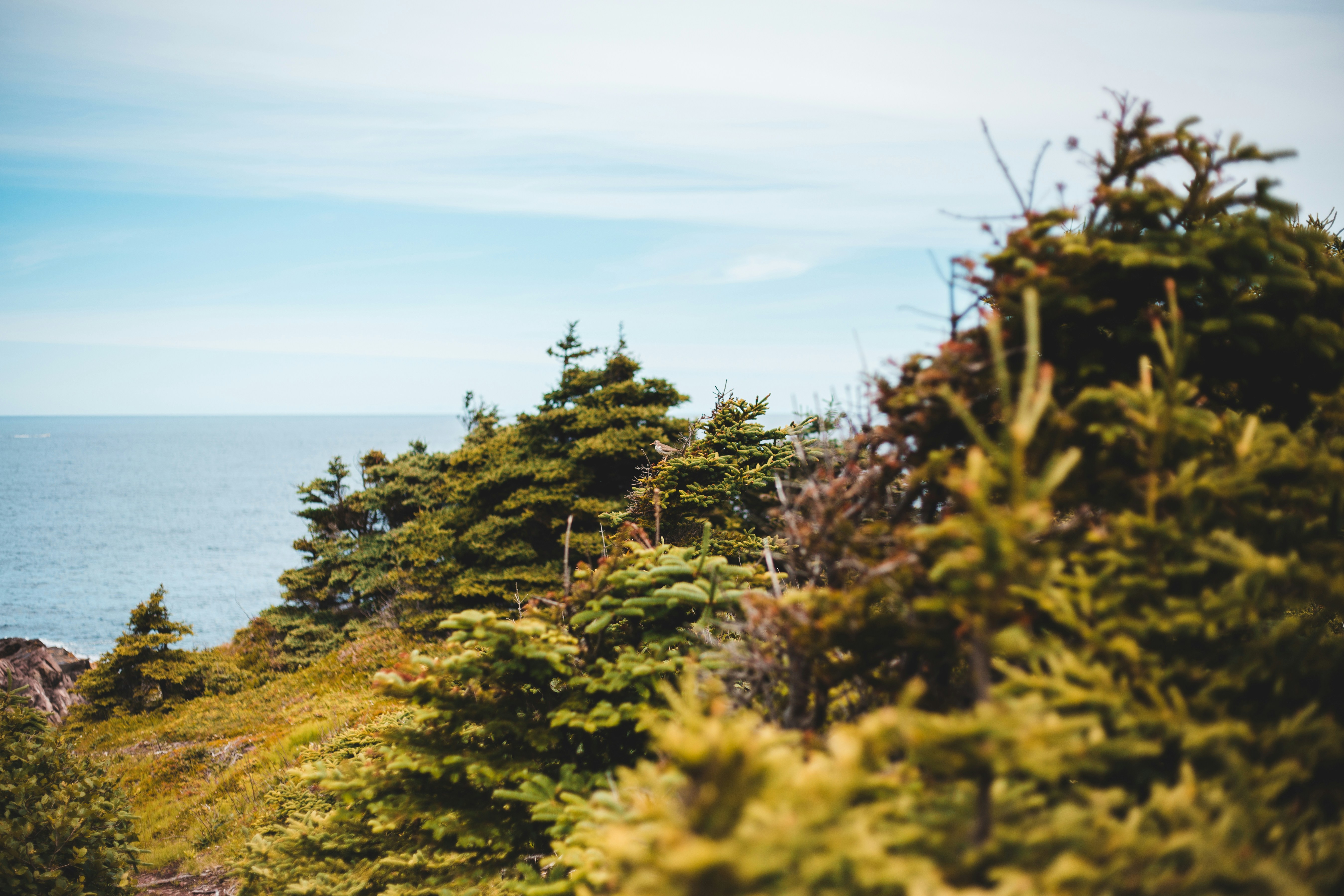 Photo by introspectivedsgn