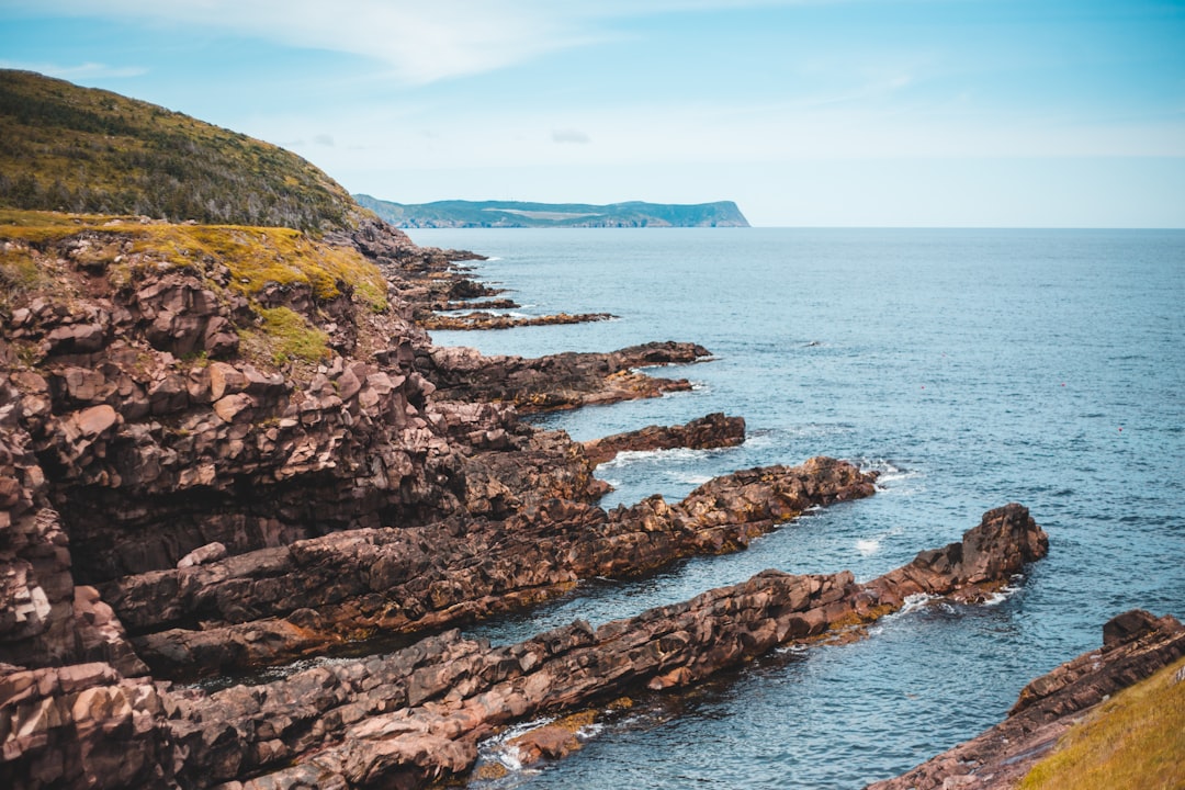 brown and green rock formation near body of water during daytime