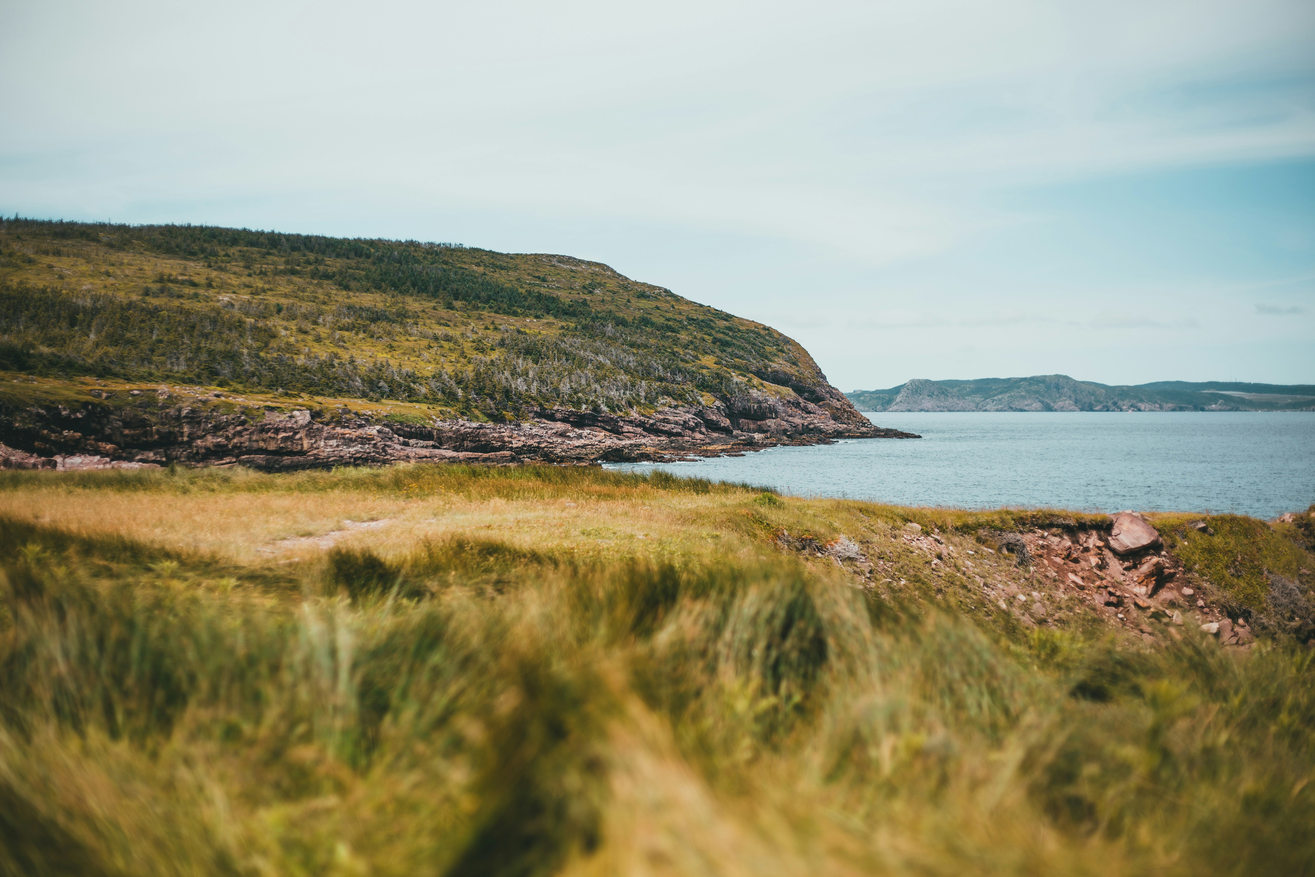 Photo by introspectivedsgn