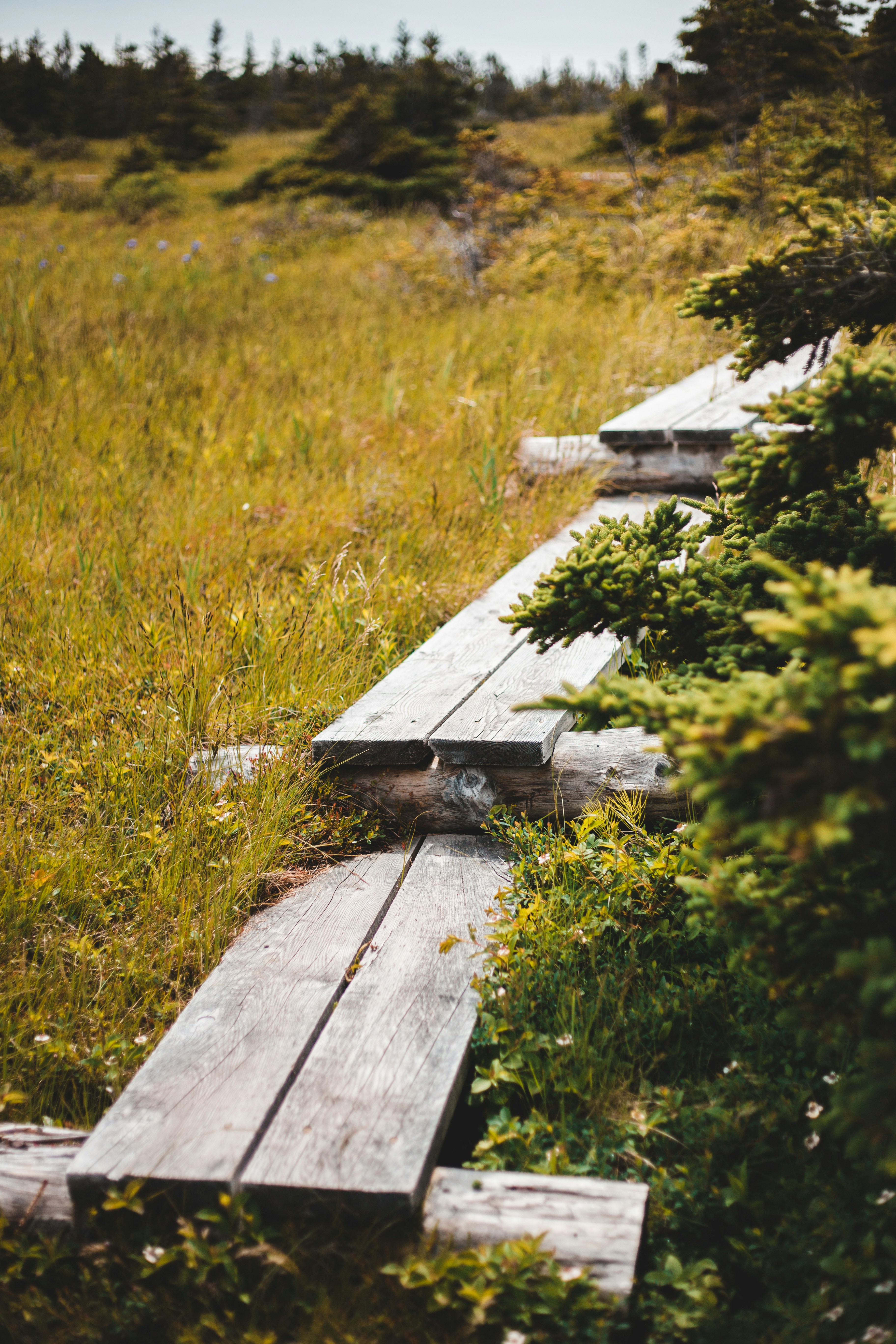 Photo by introspectivedsgn