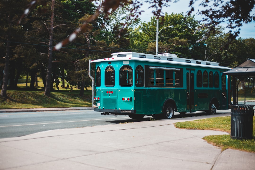 green and white bus on road during daytime
