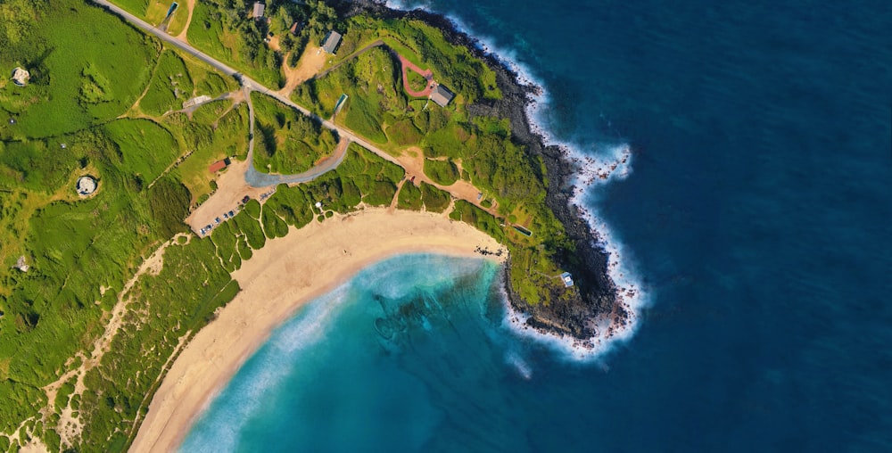 aerial view of green trees near body of water during daytime