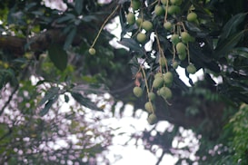 Photo 1625382234122 56dde3655bf4?q=85&w=273&h=462&fit=crop