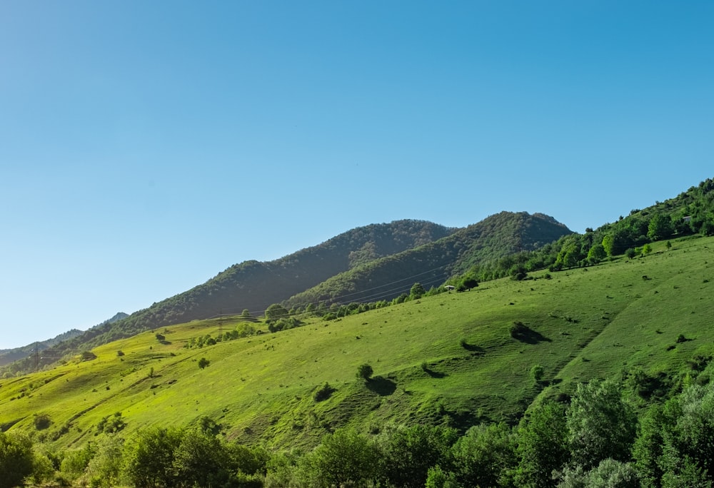 campo di erba verde e montagne sotto il cielo blu durante il giorno