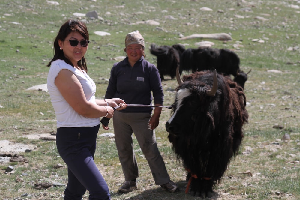 woman in white shirt standing beside black cow during daytime